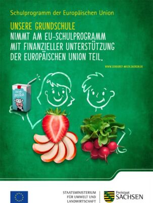 Altpapiersammlung in der Schule Oßling